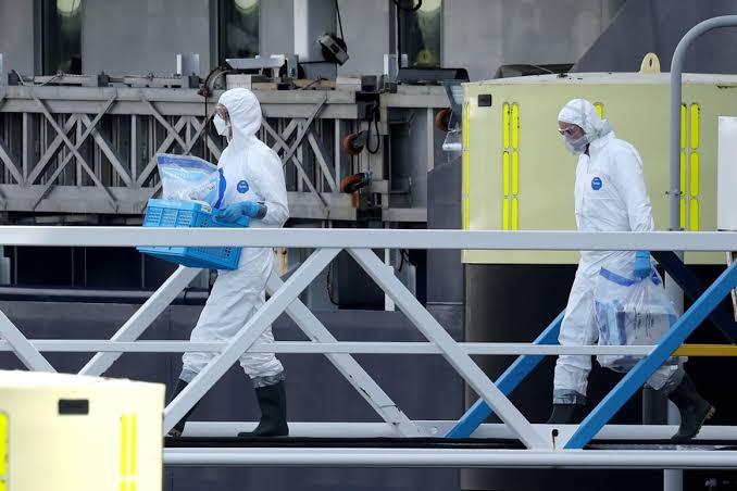 Hantavirus cases linked to cruise ship outbreak rise to 13