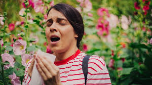 6 things to do now to control allergy symptoms all season long
