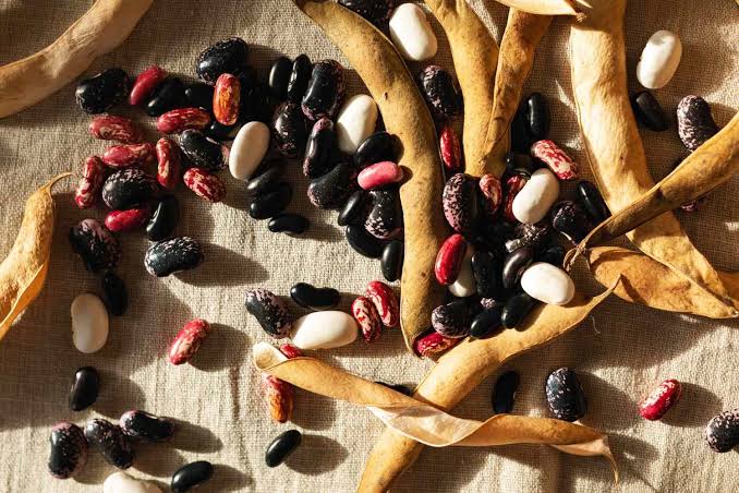The 8 Best Beans for Your Health, Ranked by Dietitians