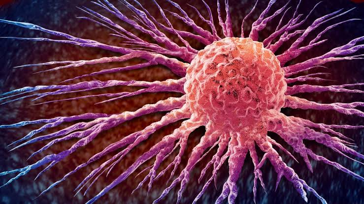 New cancer shot dissolves whole tumors in patients