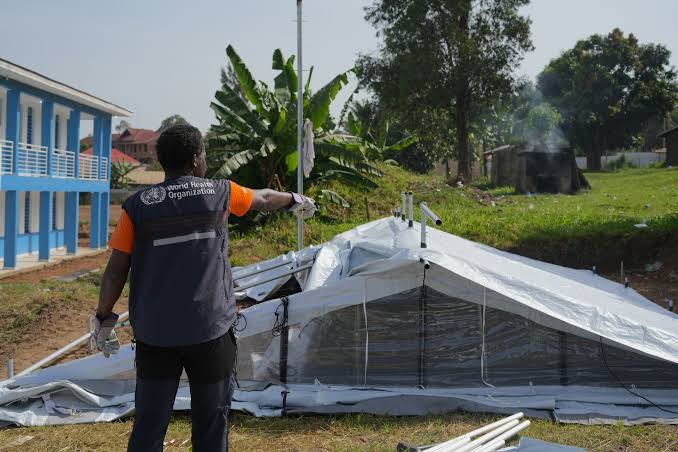 Experts convened by WHO advise on candidate treatments and vaccines for Ebola disease caused by Bundibugyo virus