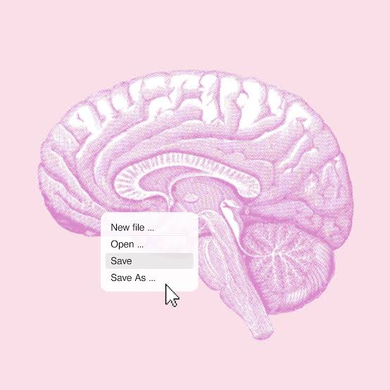 The midlife habits that could make or break your brain health long-term
