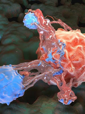 Breakthrough pancreatic cancer drug nearly doubles survival in trial