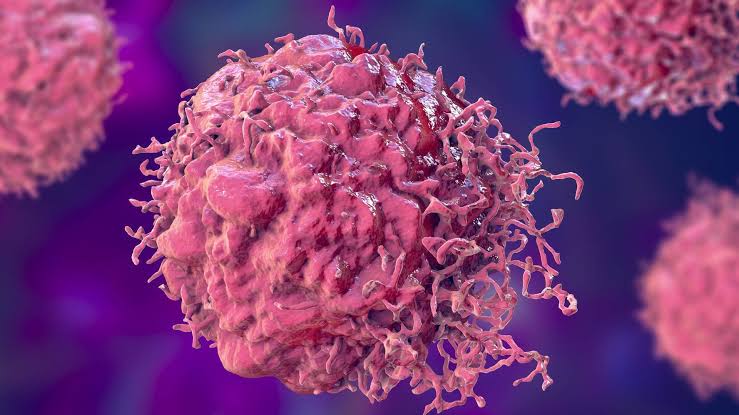 Pocket-sized cancer test detects tumors early with 94.9% accuracy