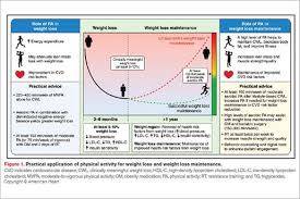 Role of Physical Activity in Obesity Treatment and Cardiometabolic Health