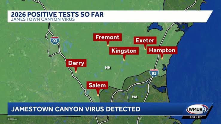 Jamestown Canyon Virus detected in mosquito batches in Hampton, Derry