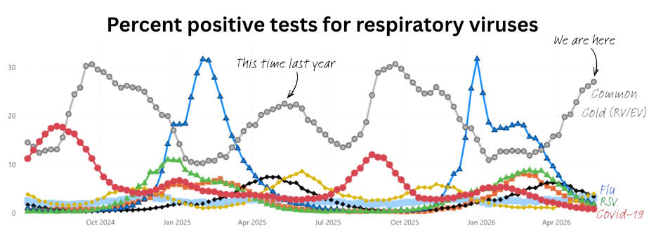 Ebola, chemical plants and health, hantavirus, common colds, heat and more