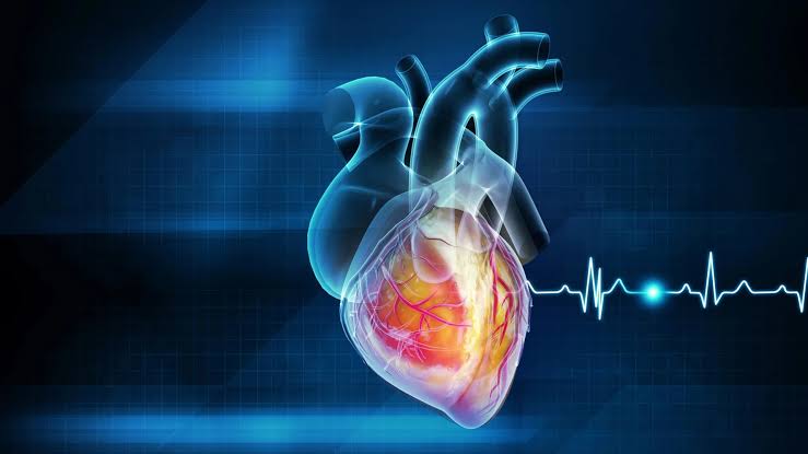 Common heart drug taken by millions found useless — and possibly dangerous