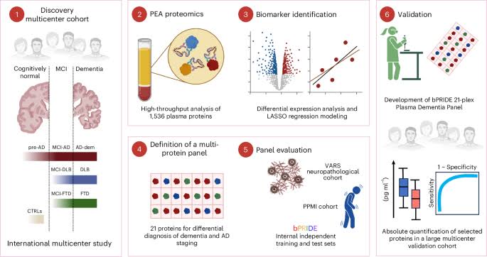 Plasma proteome profiling identified biomarkers for the differential diagnosis and molecular staging of neurodegenerative dementias