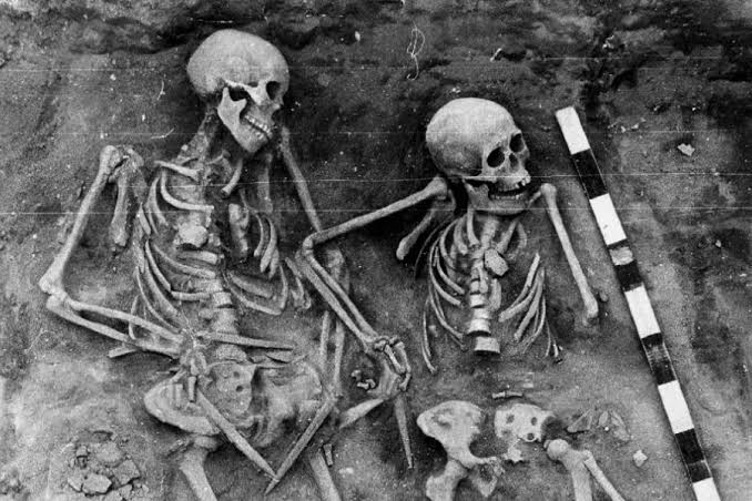 New Discovery That Hunter-Gatherer Children Died of Plague More Than Five Millennia Ago Sets Back the Date of the Earliest Outbreak