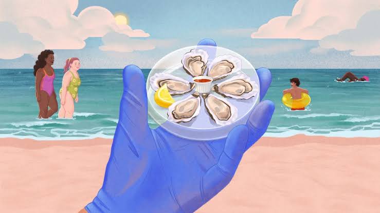 A deadly bacteria is creeping up the Atlantic Coast. How worried should you be?