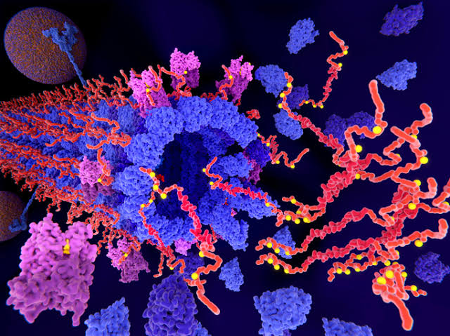 Brain Messenger Protein May Help Tau Spread in Alzheimer’s Disease