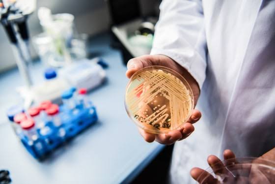 Deadly drug-resistant fungal infections rising in the U.S.