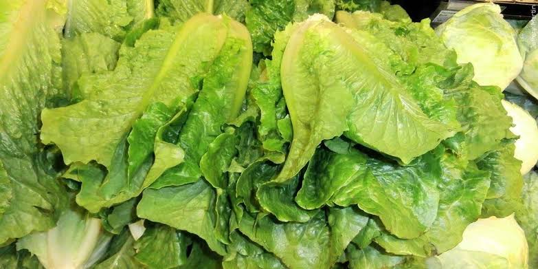 Cyclospora cases in Nebraska, Iowa linked to outbreak sourced to Taylor Farms lettuce