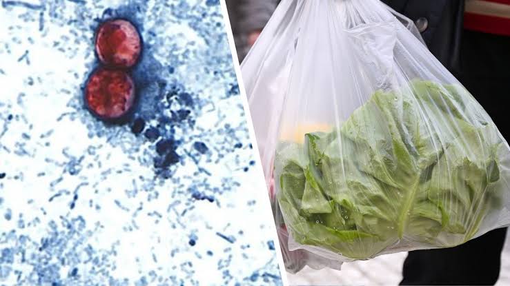 Doctor warns against ‘cyclospora skinny’ trend