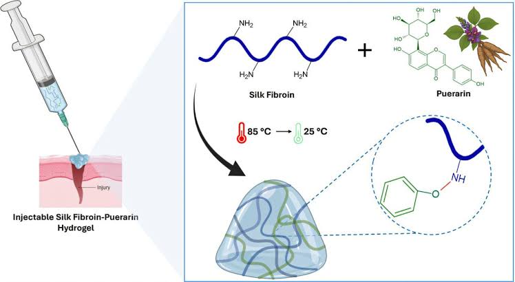 Injectable silk-kudzu hydrogel achieves complete wound closure in laboratory tests
