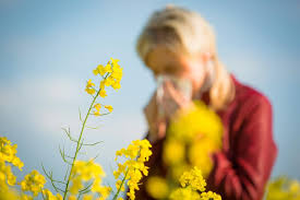 We’re in for an especially bad allergy season — why your go-to meds may no longer work