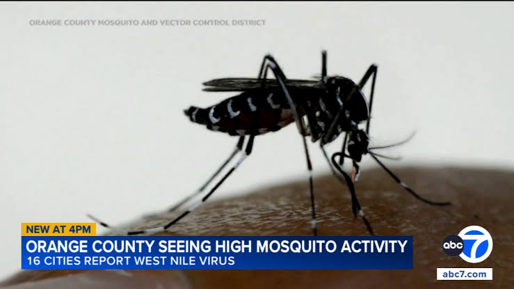 Orange County officials warn of potentially worst West Nile virus season in county history