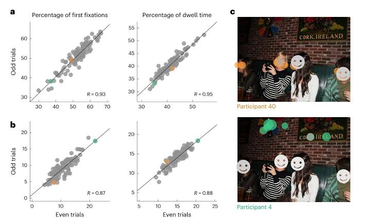 What people look at most reflects their brains' specialization