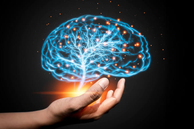 Scientists Say We’ve Been Wrong About the Aging Brain
