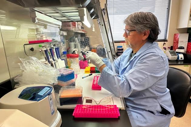 What Ebola and hantavirus are revealing about America’s public health system