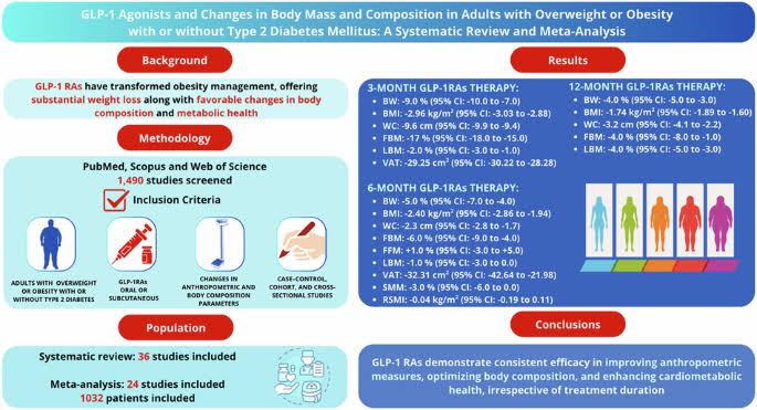 GLP-1 agonists and changes in body mass and composition in adults with overweight or obesity with or without type 2 diabetes mellitus: a systematic review and meta-analysis | International Journal of Obesity