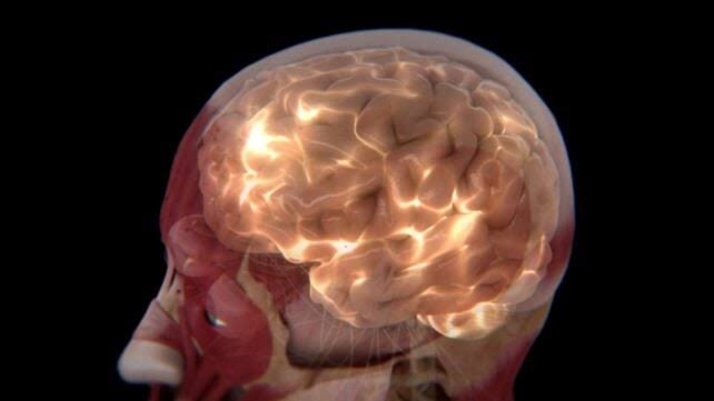 Scientists Identify 2 Distinct Subtypes of Autism in The Brain