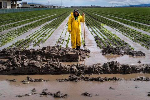 It’s The Water, Not Produce, Likely Driving Cyclospora Outbreaks