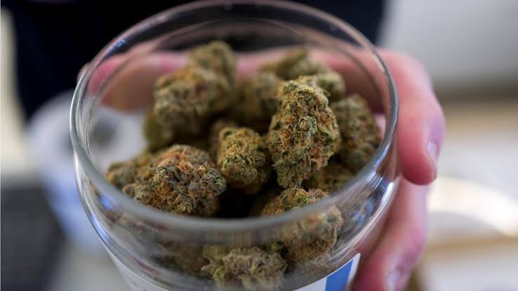 Survey: More than half of Washington clinicians cite mental-health risks from cannabis use