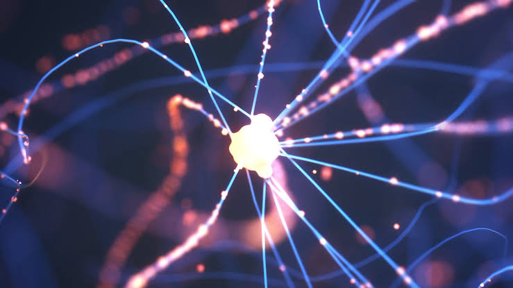 It's Not Amyloid Plaques Stealing Sleep in Alzheimer's – It's Immune Cells