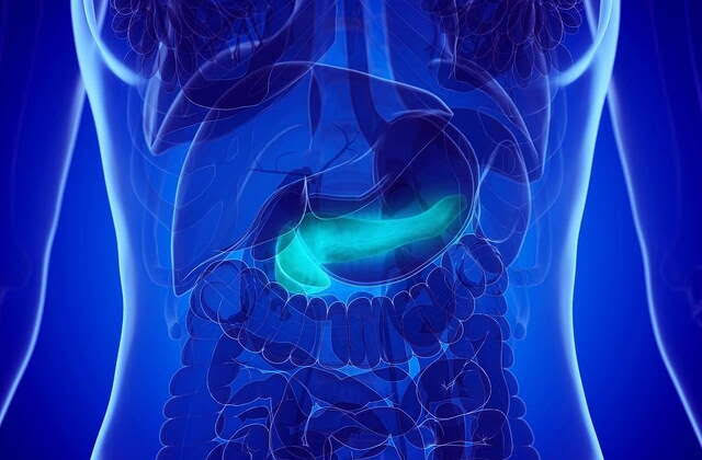 Could A Vaccine Prevent Pancreatic Cancer In Those At High Risk?