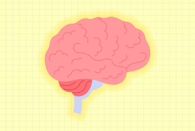 These Foods Could Help Lower Your Dementia Risk—Even If You Have a Family History, New Study Says