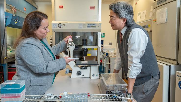 'Eventually, it becomes you': Inventors of new 'living' knee replacement describe why this tech is desperately needed and how it works