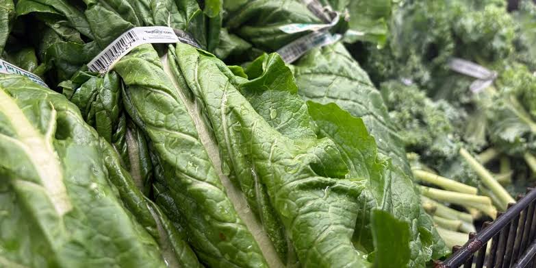Alabama health officials report 28 cases of Cyclospora amid national outbreak