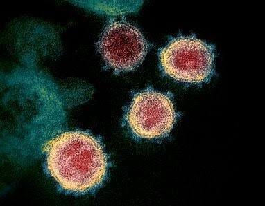 New strain of COVID detected in 25 states including Minnesota