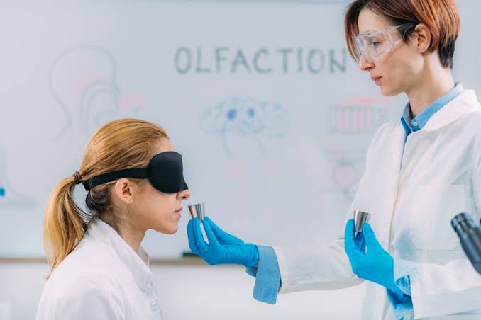 Why humans care so much about body odour, and what it really tells us