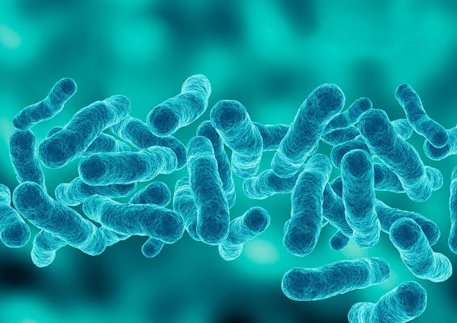New York officials find Legionella in 76 cooling towers as cases hit 63