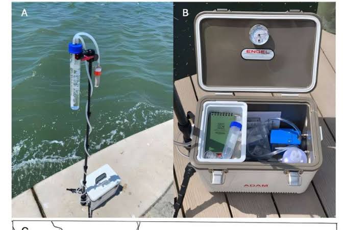 Florida bloom toxins turn up in air, suggesting inhalation risk beyond shorelines