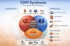 Cardiovascular–kidney–metabolic syndrome: a comprehensive review of pathophysiology, epidemiology, diagnosis, and management