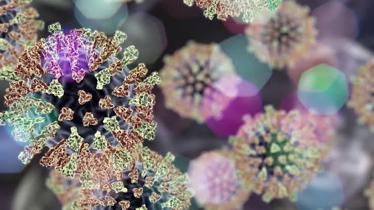 Measles case in the Lowcountry: What we know