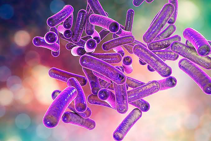 CDC: Proportion of extensively drug-resistant Shigella isolates increasing