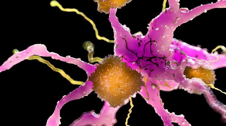 A Drug Already Proven Safe in Humans Just Reduced Multiple Signs of Alzheimer's in Mice