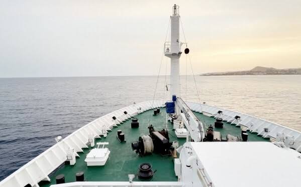Demand for cruises appears undimmed despite hantavirus and other onboard outbreaks