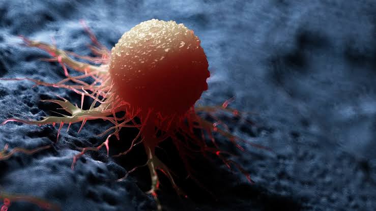 New blood test spots four cancers and other diseases by stripping away healthy DNA noise