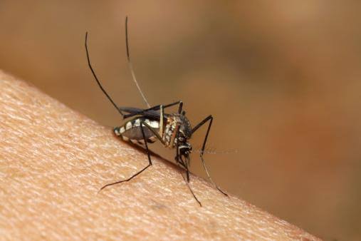 At least 5 dead in Burundi from a mystery illness: Africa CDC