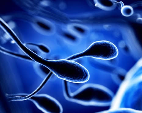 Air pollution linked to DNA changes in sperm, research shows