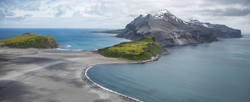 Thousands of baby seals died on two remote sub-Antarctic islands. Scientists now think they know why
