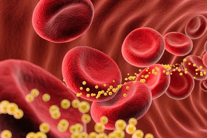 5 takeaways from the new cholesterol guidelines