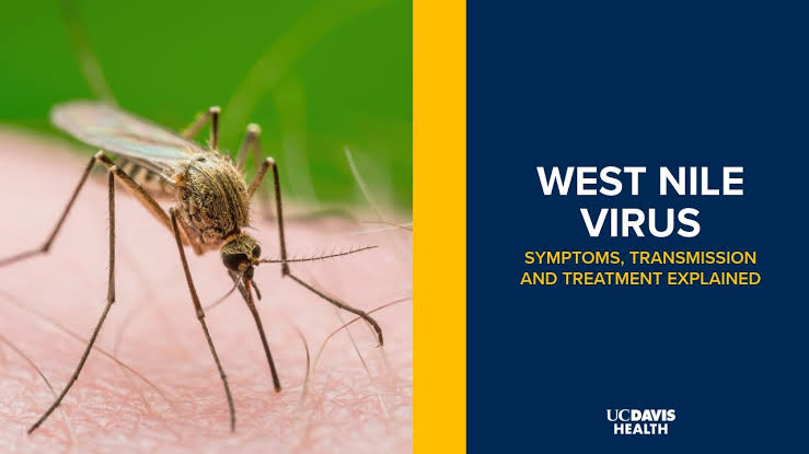 Urgent warning as deadly West Nile virus is discovered in California
