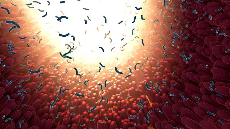 Scientists tested 39 sweeteners and found unexpected gut effects